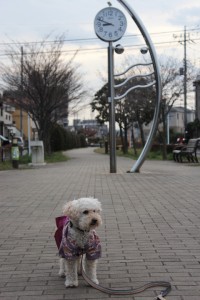 ２０１２.がんたん