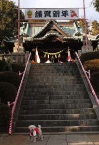 はつもうで２０１２−２のコピー