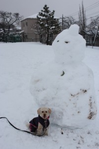 with Snowman2