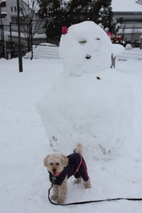 with snowman3