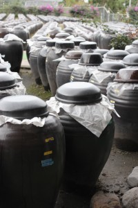 黒酢本舗2012.7.6