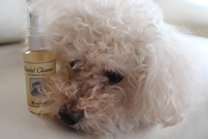 デンタルクリーナーとA