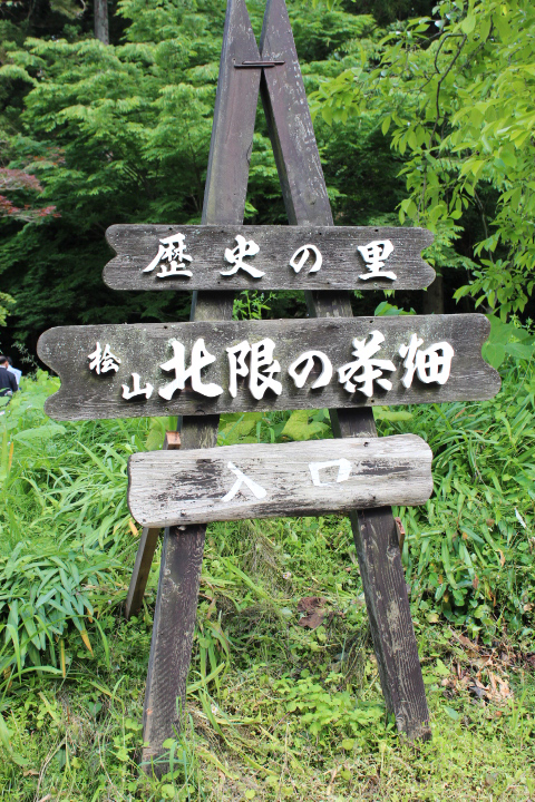 北限の茶畑看板 北限の茶畑看板