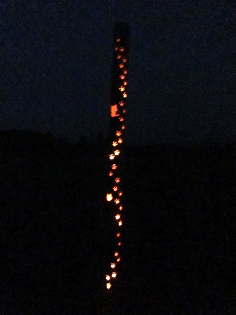 竹の灯篭コンテスト