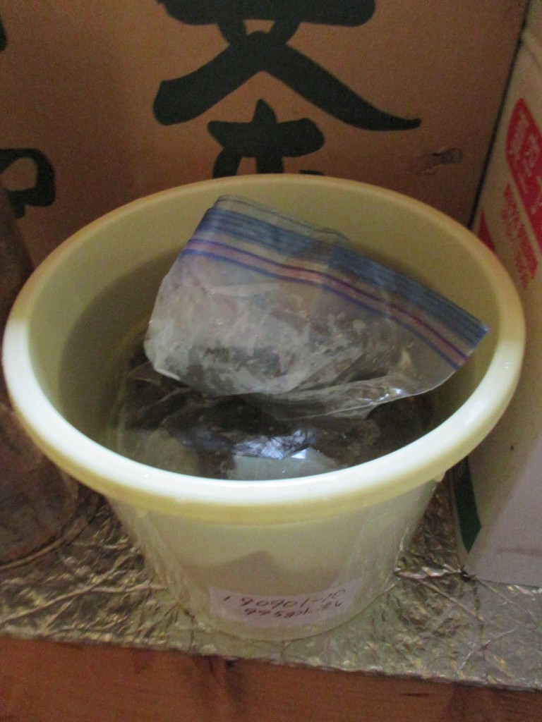 団子状の茶葉に湧き水を出した桶９月１日