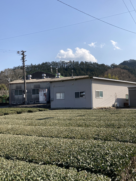 中森製茶工場