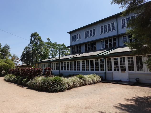 クレイグヘッド茶園