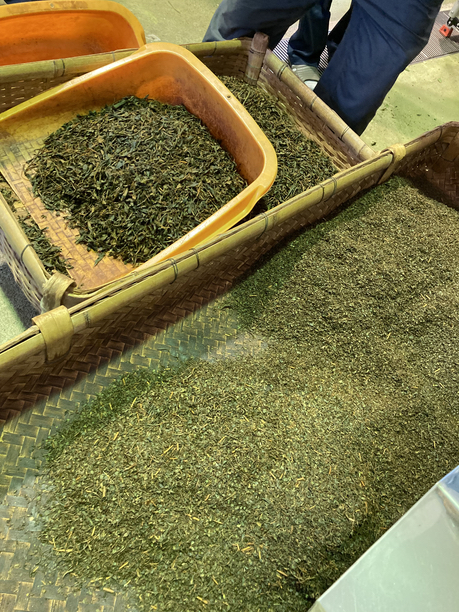 萎凋後、篩い分け前の茶葉