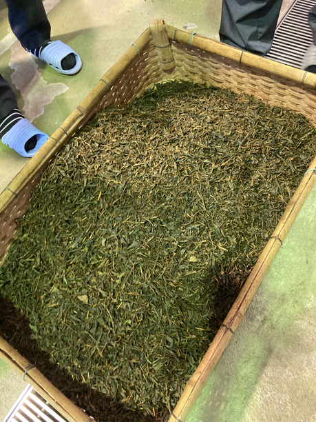 萎凋した茶葉 萎凋した茶葉