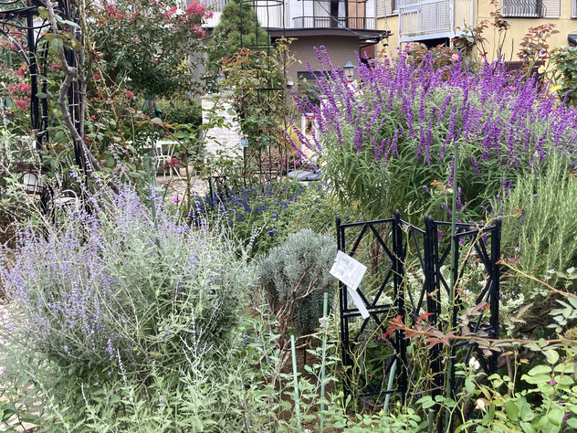 アトリエ&カフェ 赤毛のアン 庭2 アトリエ&カフェ 赤毛のアン 庭2