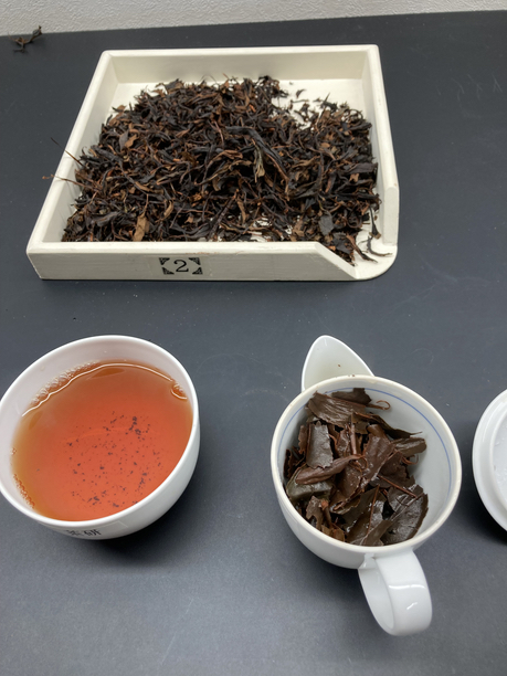 今日製造の紅茶　茎が多い　テイスティング