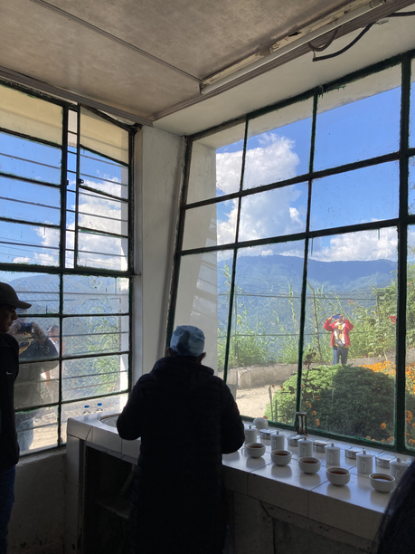 スーム茶園テイスティングスペースの窓