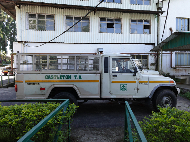 キャッスルトン茶園 トラック横から キャッスルトン茶園 トラック横から