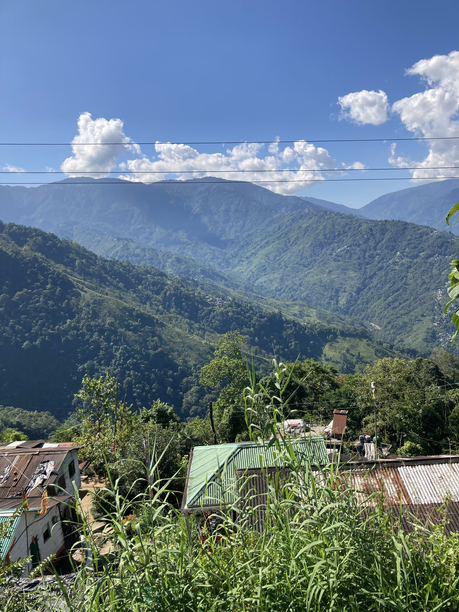 スーム茶園　茶園からの眺め２