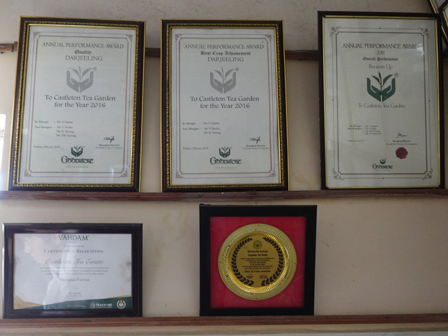 キャッスルトン賞状2 キャッスルトン賞状2