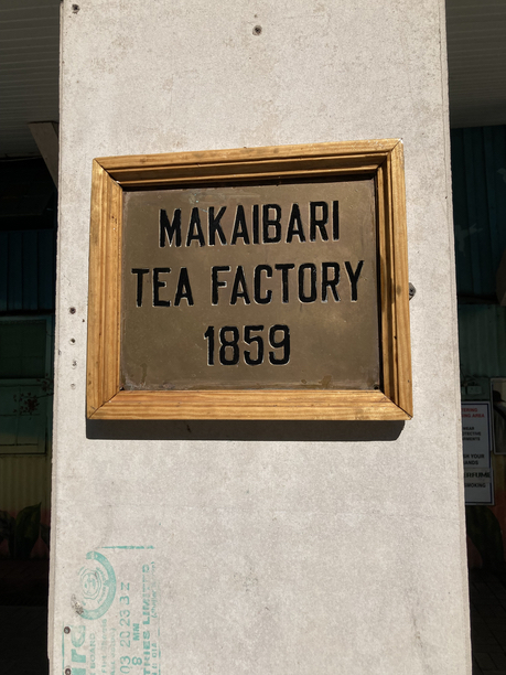 MAKAIBARI TEA FACTORY 1859