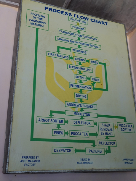 キャッスルトン　FLOW CHART