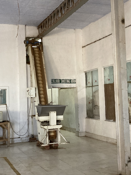 スーム茶園　COLOUR SORTING ROOM