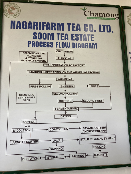 スーム茶園　PROCESSFLOWDIAGRAM