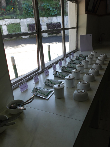 キャッスルトン　テイスティングカップ