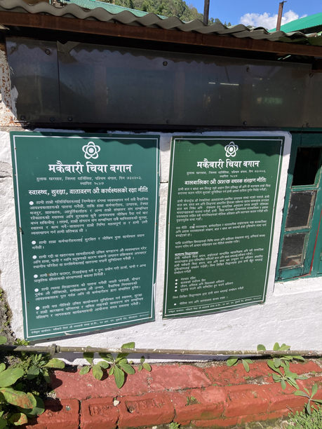 マカイバリ茶園　看板