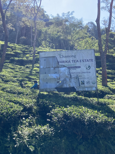 シュリードワルカ茶園　看板