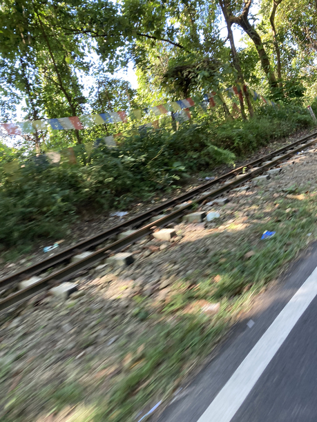 シリグリ茶園横の線路