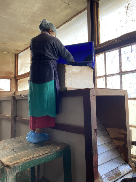 オレンジバレー　異物仕分け機？