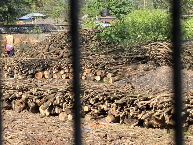 グルマ茶園　薪