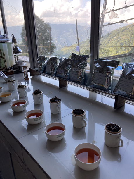 オレンジバレー　テイスティング