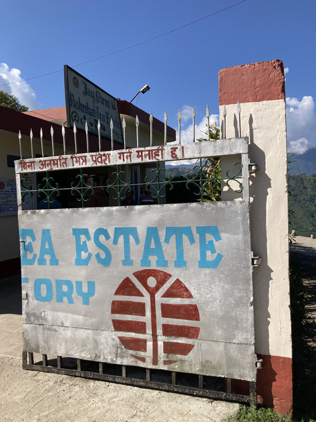 リシーハット茶園　門右